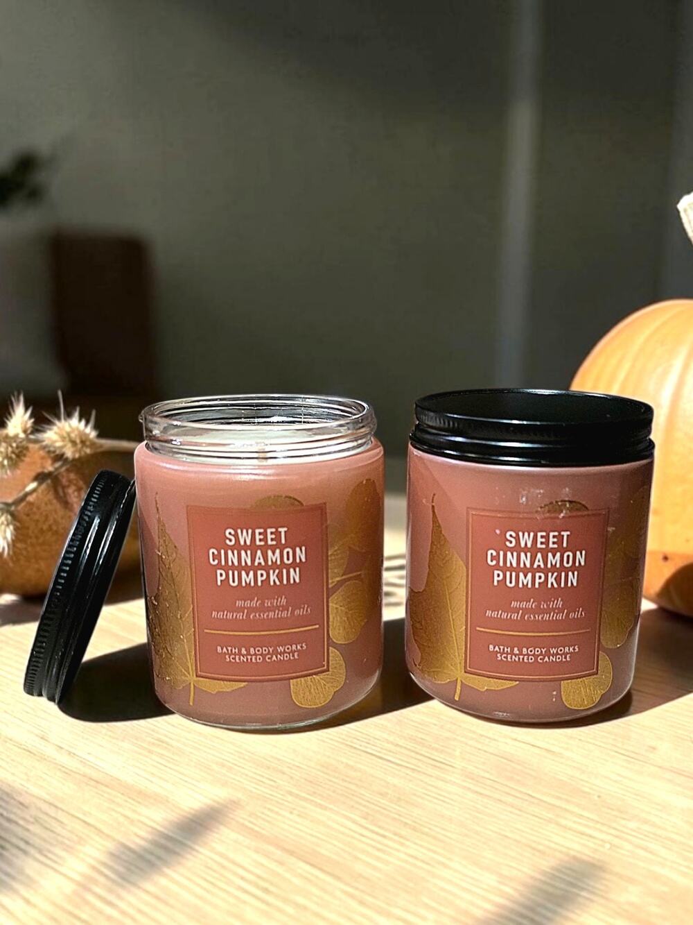 2 SWEET CINNAMON PUMPKIN SINGLE WICK CANDLES HOME FRAGRANCE BATH & BODY WORKS